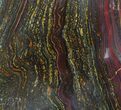 Polished Tiger Iron Stromatolite - ( Billion Years) #92819-1